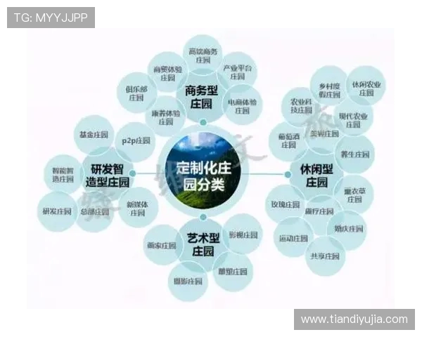 北京极限运动队如何通过创新运营模式实现突破与发展 北京极限运动队如何通过创新运营模式实现突破与发展