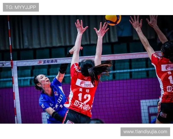 广州排球队的转型之路全国锦标赛特别报道展现新风貌与挑战