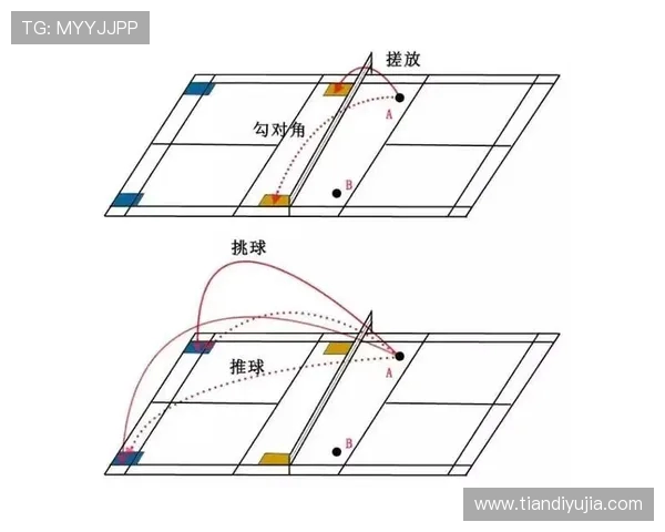 广州羽毛球队战术解析与对比研究揭示球队优势与不足