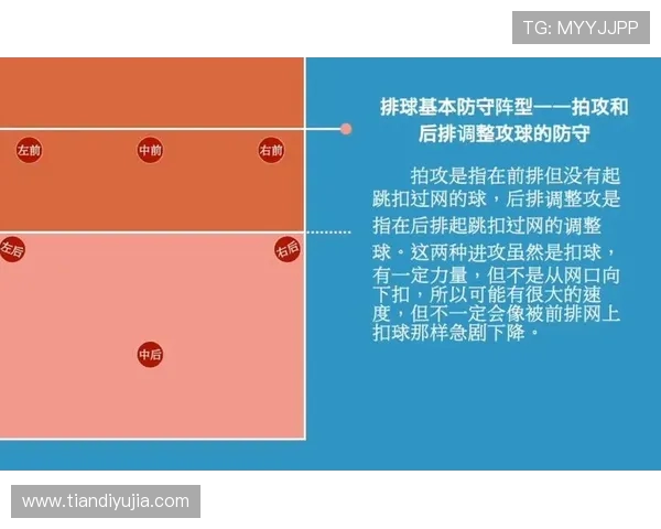 武汉排球队区域防守新策略探讨与实践成果分析 武汉排球队区域防守新策略探讨与实践成果分析