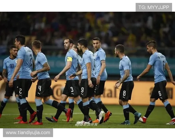 法国与乌拉圭球员对比分析谁能在国际赛场上更胜一筹