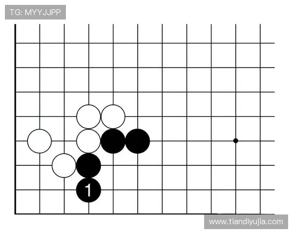 深圳网球队防守策略深度解析与战术应用探讨