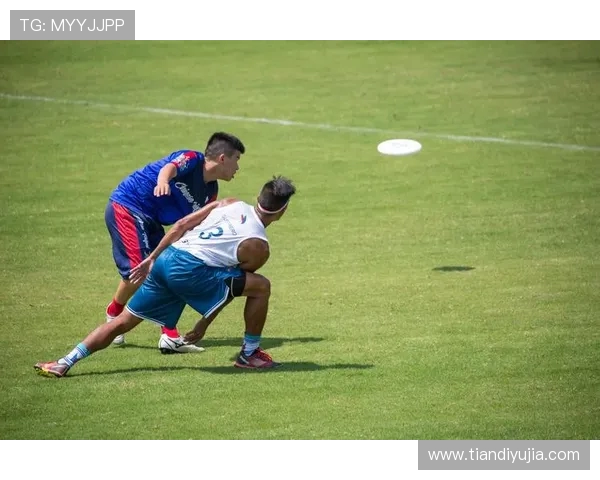 飞盘热潮下的上海飞盘队团队协作新模式探索与实践