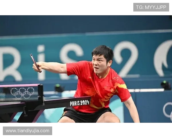 乒乓球专题：深入分析杭州乒乓球队员个人能力与发展潜力