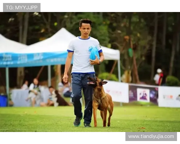 张强独家分享飞盘技巧与心得体会助你提升竞技水平与乐趣体验